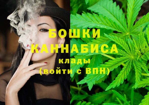 сатива Нефтекумск