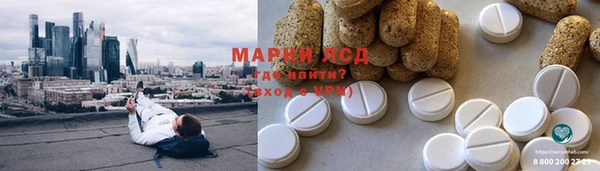 ГАЛЛЮЦИНОГЕННЫЕ ГРИБЫ Алексин