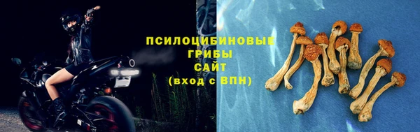 каннабис Алзамай