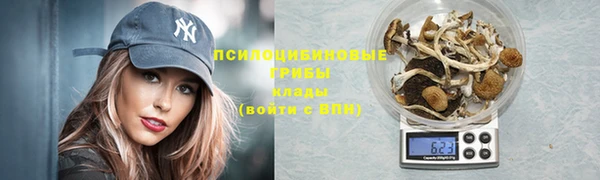 соль ск Алексеевка