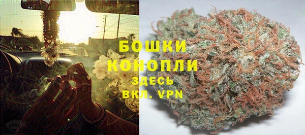 ГАЛЛЮЦИНОГЕННЫЕ ГРИБЫ Алексин