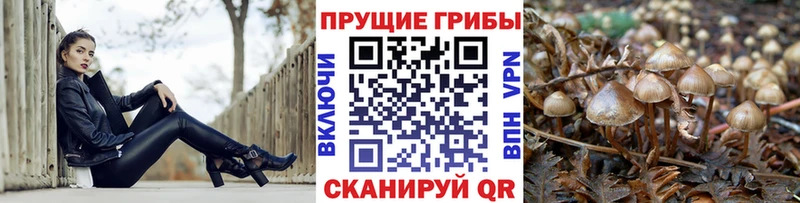 Галлюциногенные грибы Cubensis  купить  сайты  Старый Оскол 